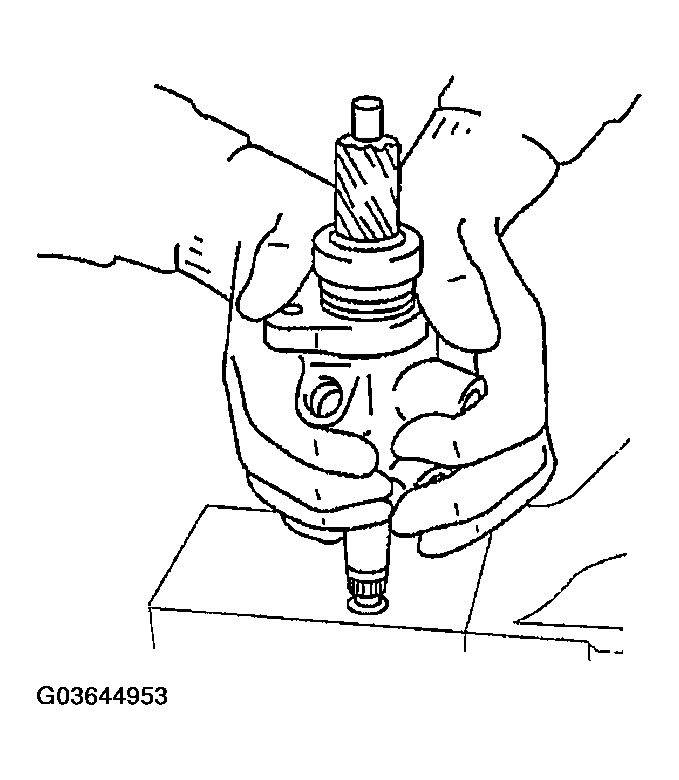 G03644953