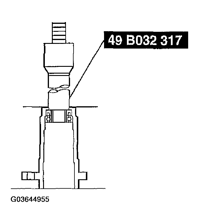 G03644955