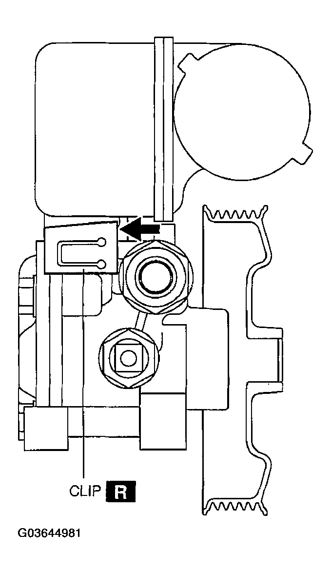 G03644981