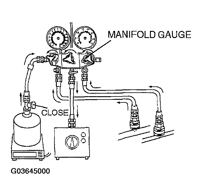 G03645000