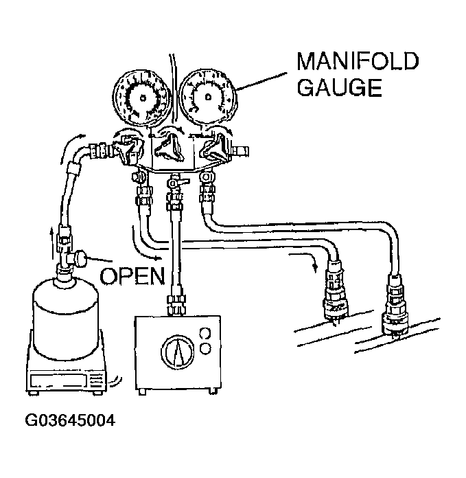 G03645004