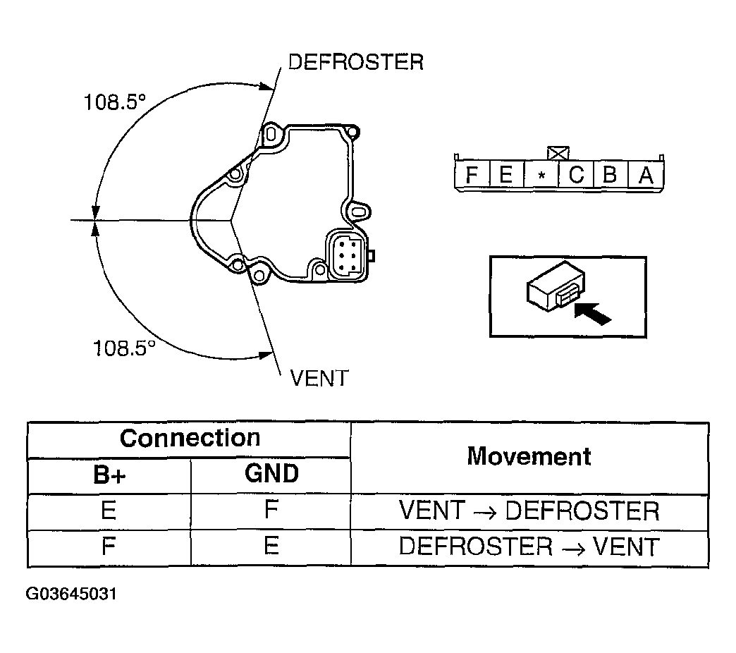 G03645031