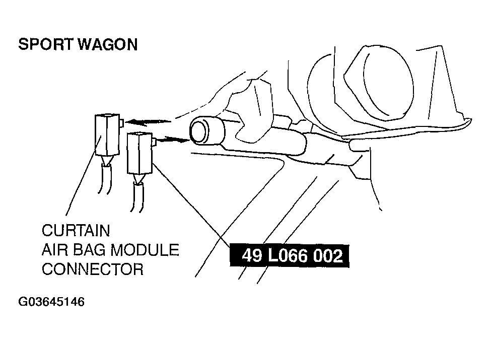 G03645146