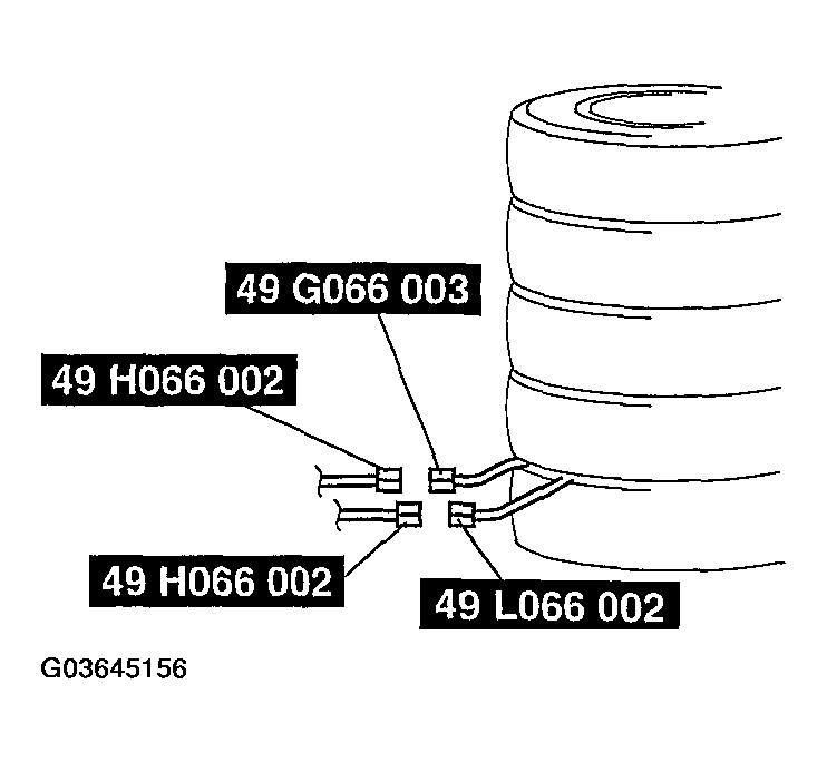 G03645156
