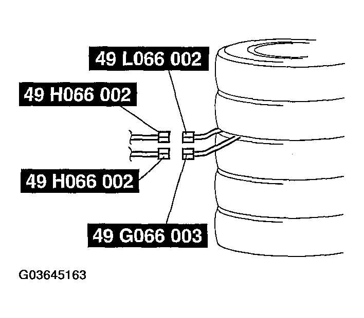 G03645163