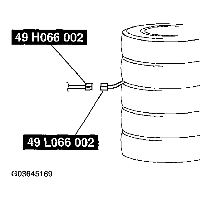 G03645169