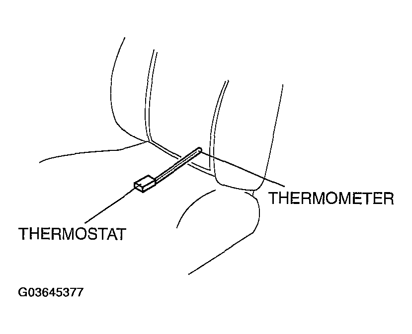 G03645377