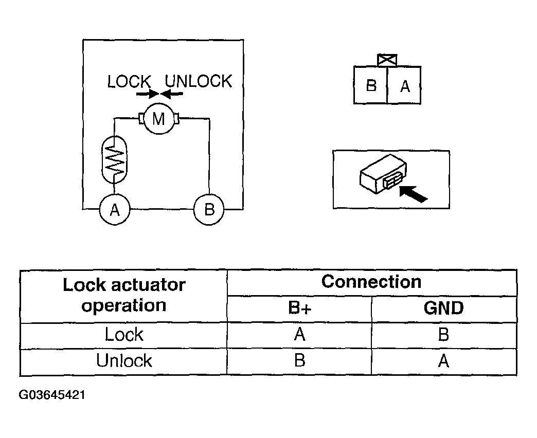 G03645421