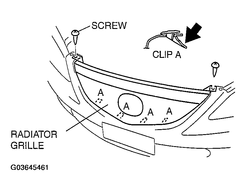 G03645461
