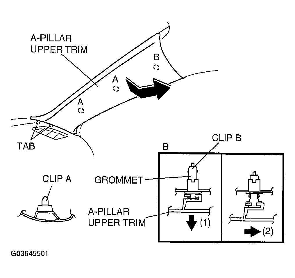 G03645501