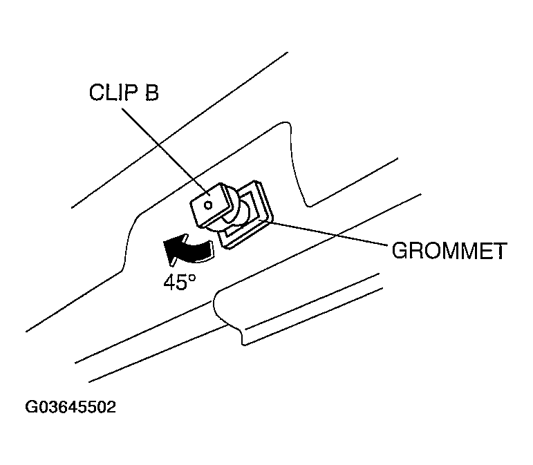 G03645502