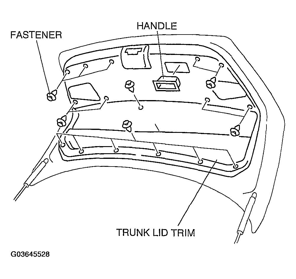 G03645528