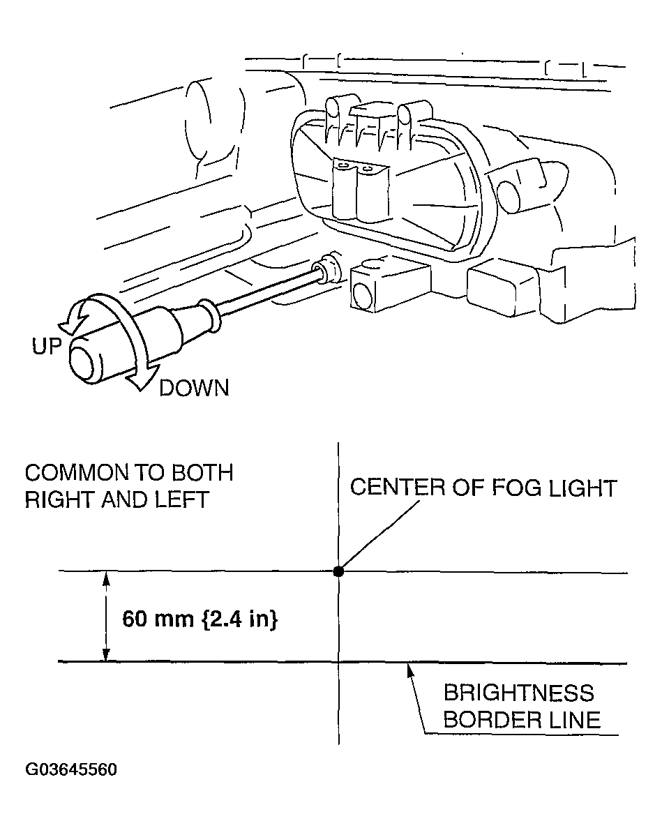 G03645560