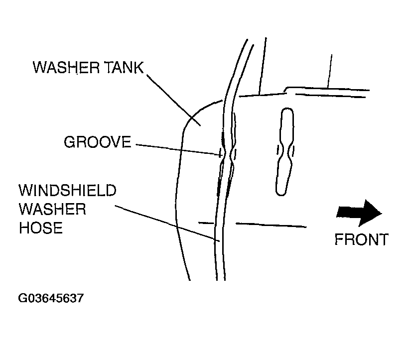 G03645637