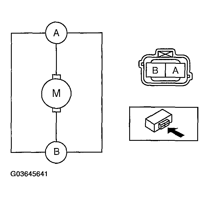 G03645641
