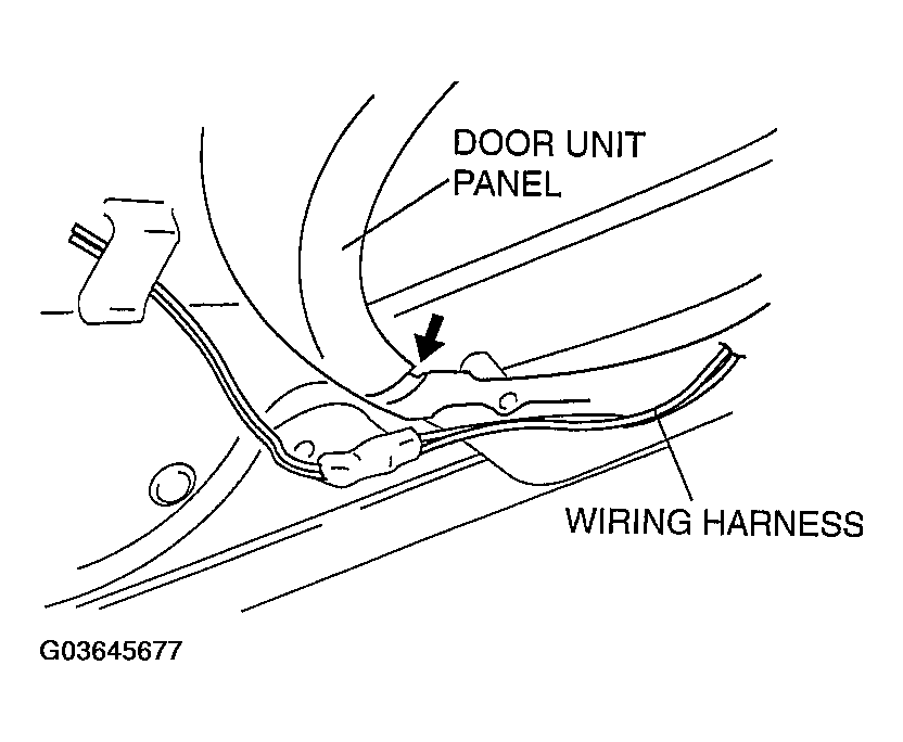 G03645677