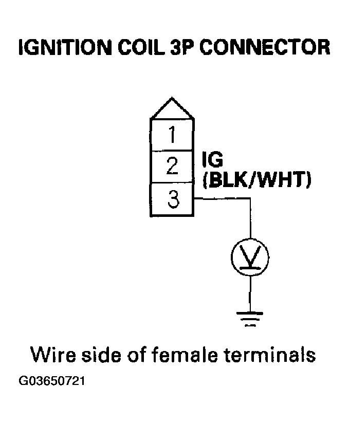 G03650721