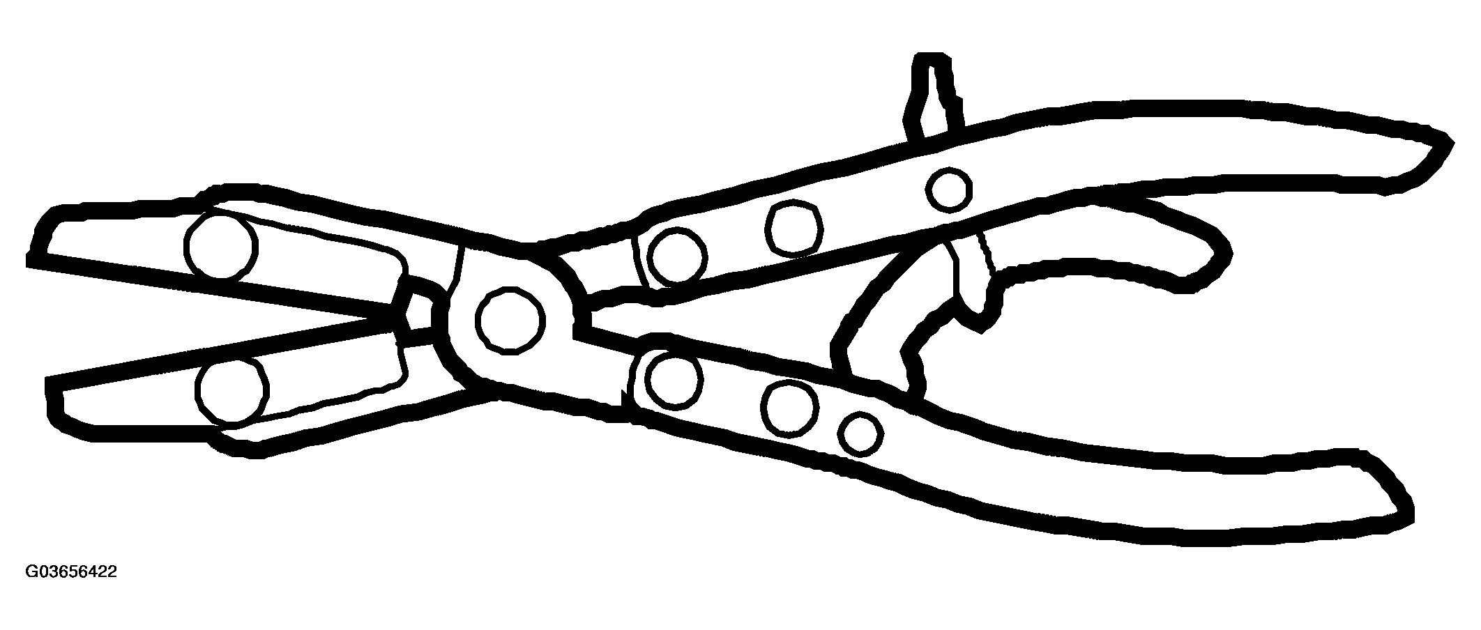 G03656422