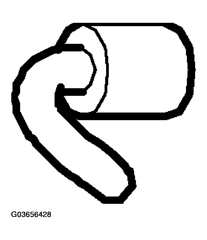 G03656428