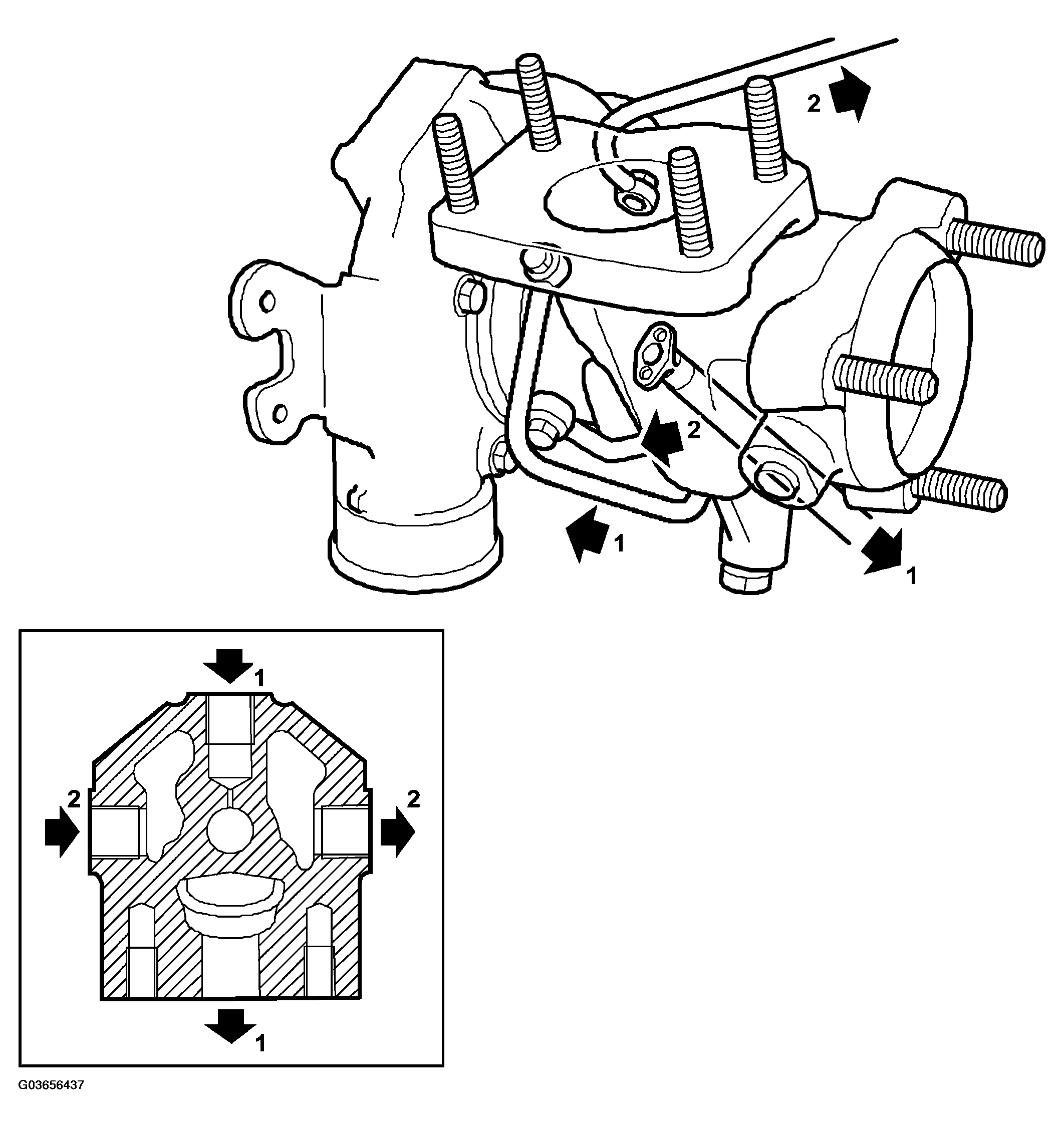 G03656437