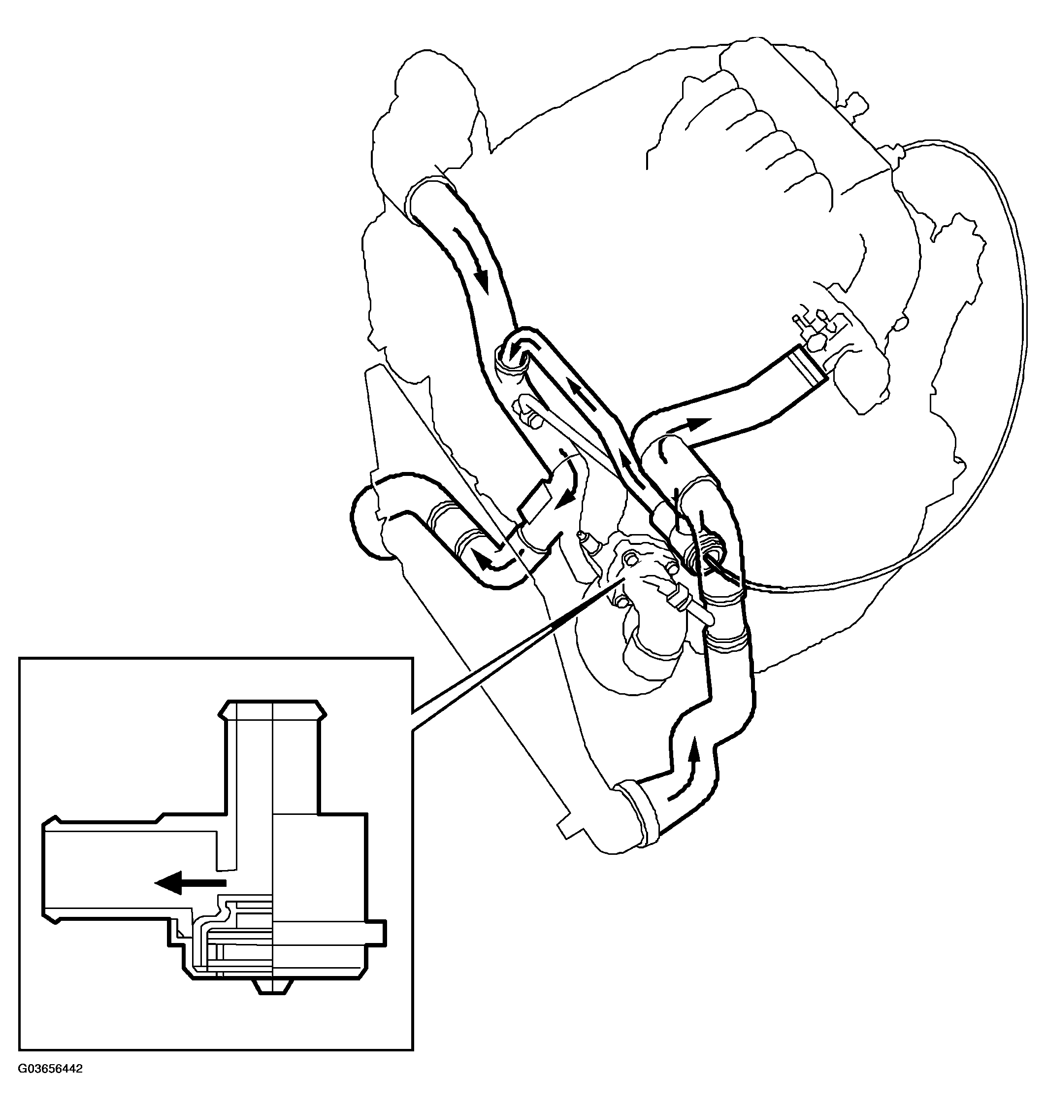 G03656442