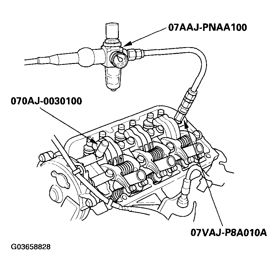 G03658828