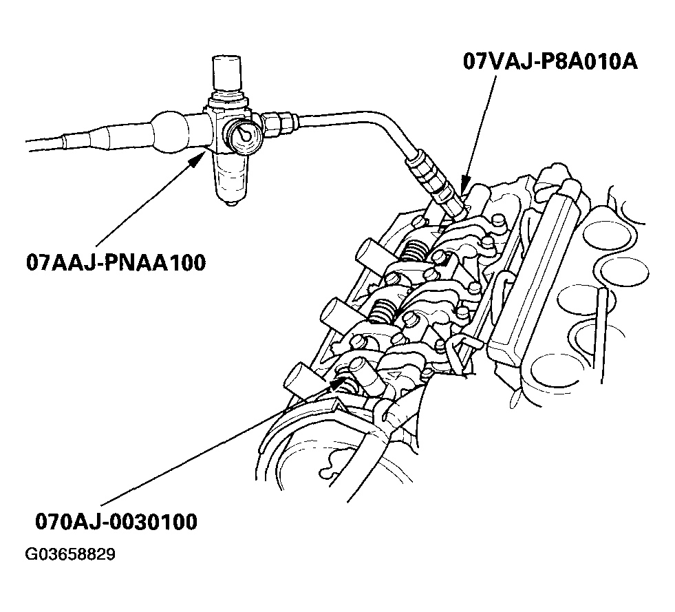 G03658829