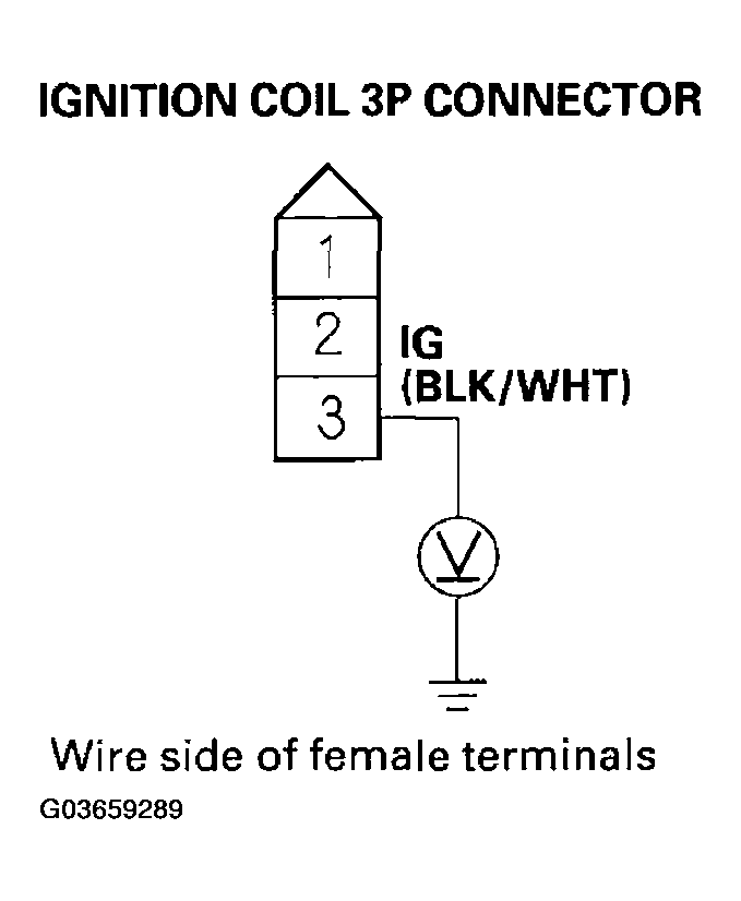 G03659289