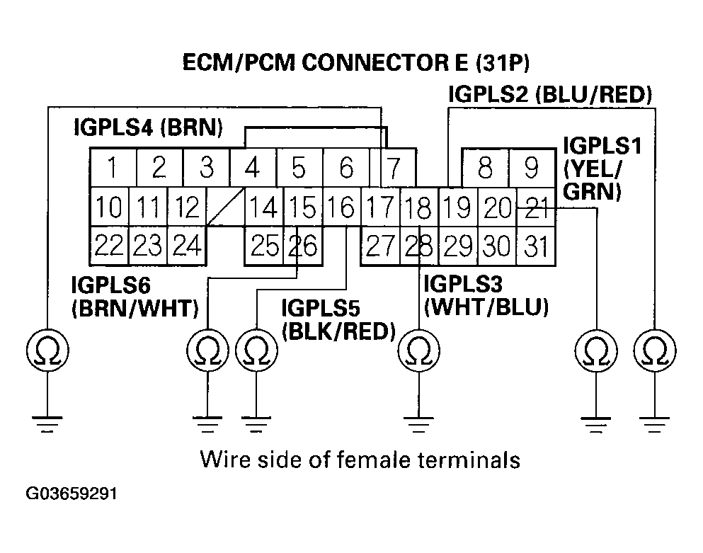 G03659291
