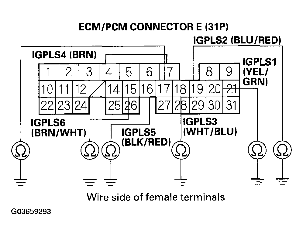 G03659293
