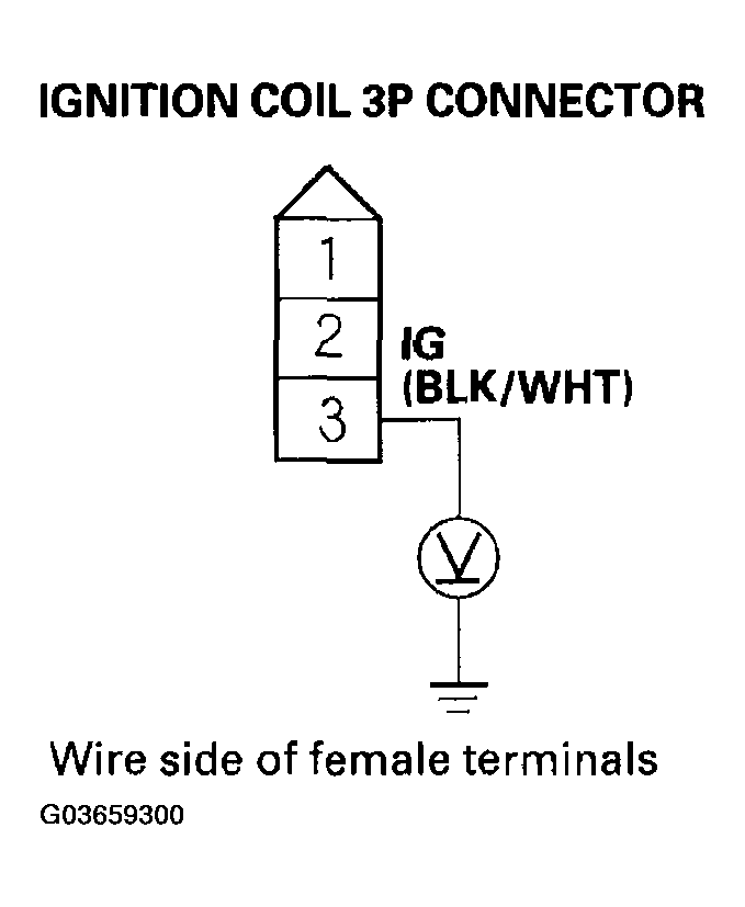 G03659300