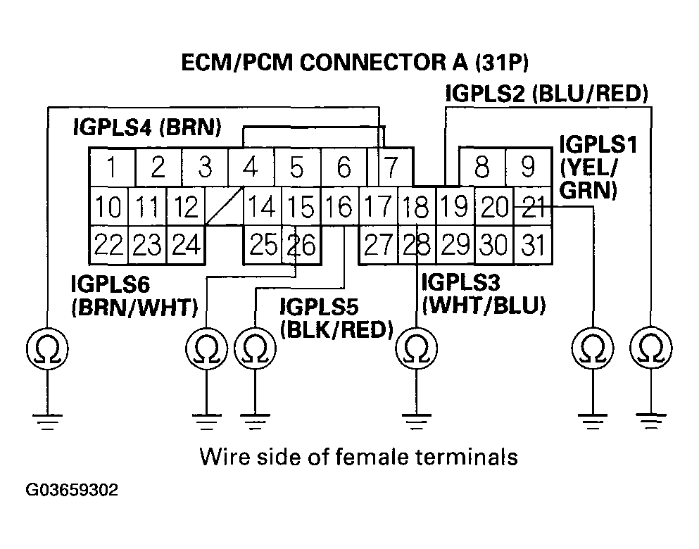 G03659302