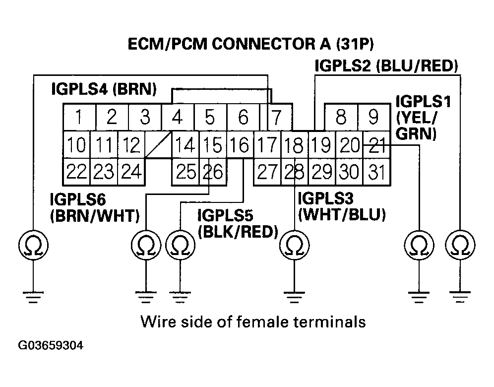 G03659304
