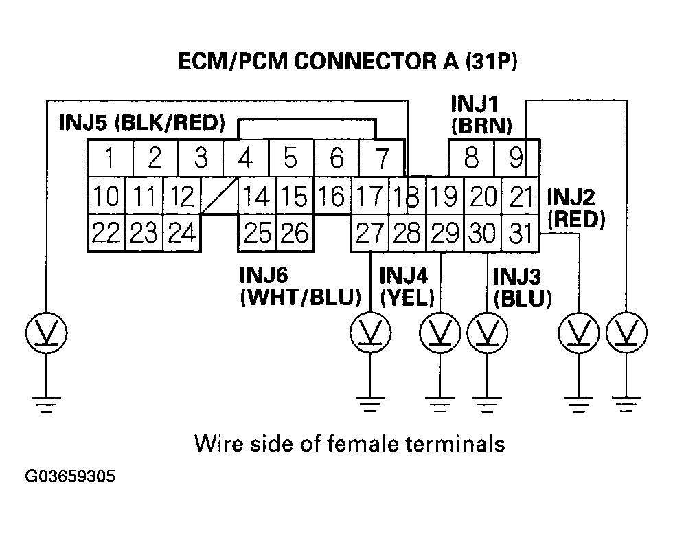 G03659305