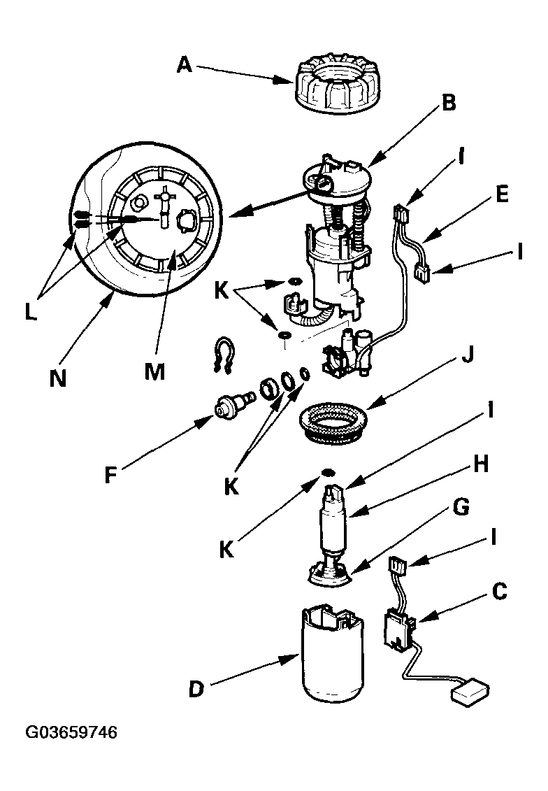 G03659746