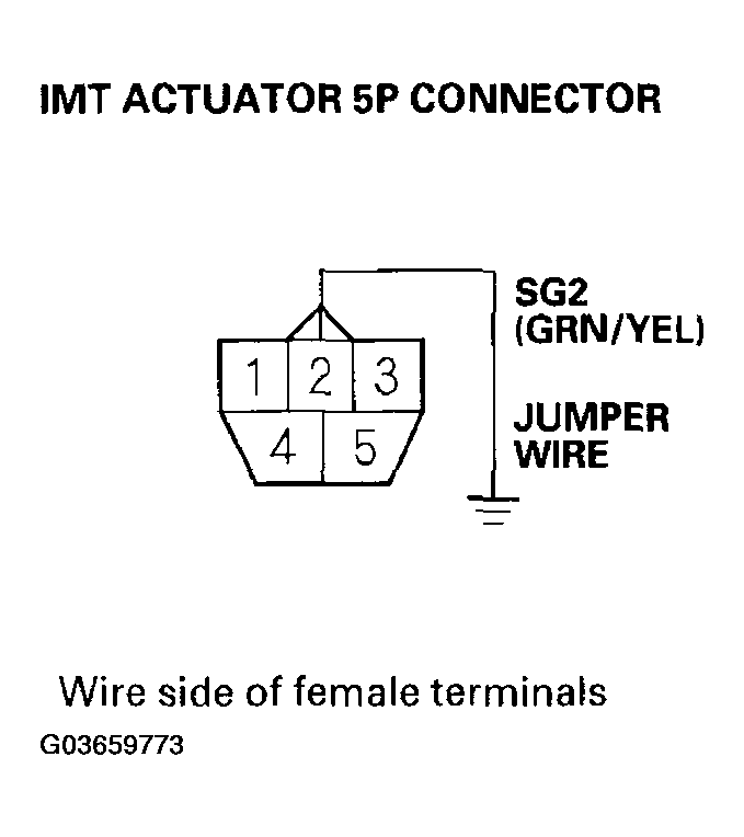 G03659773