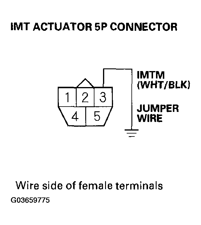 G03659775