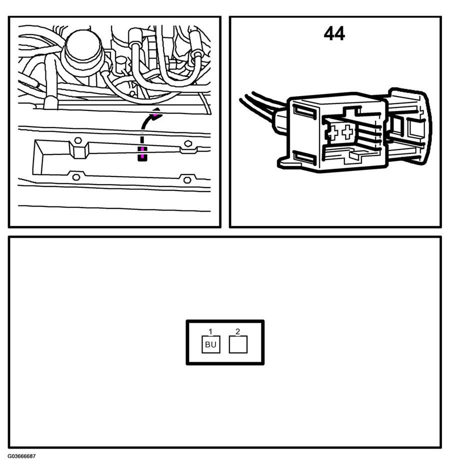 G03666687