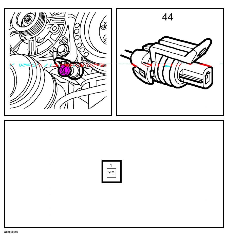 G03666689