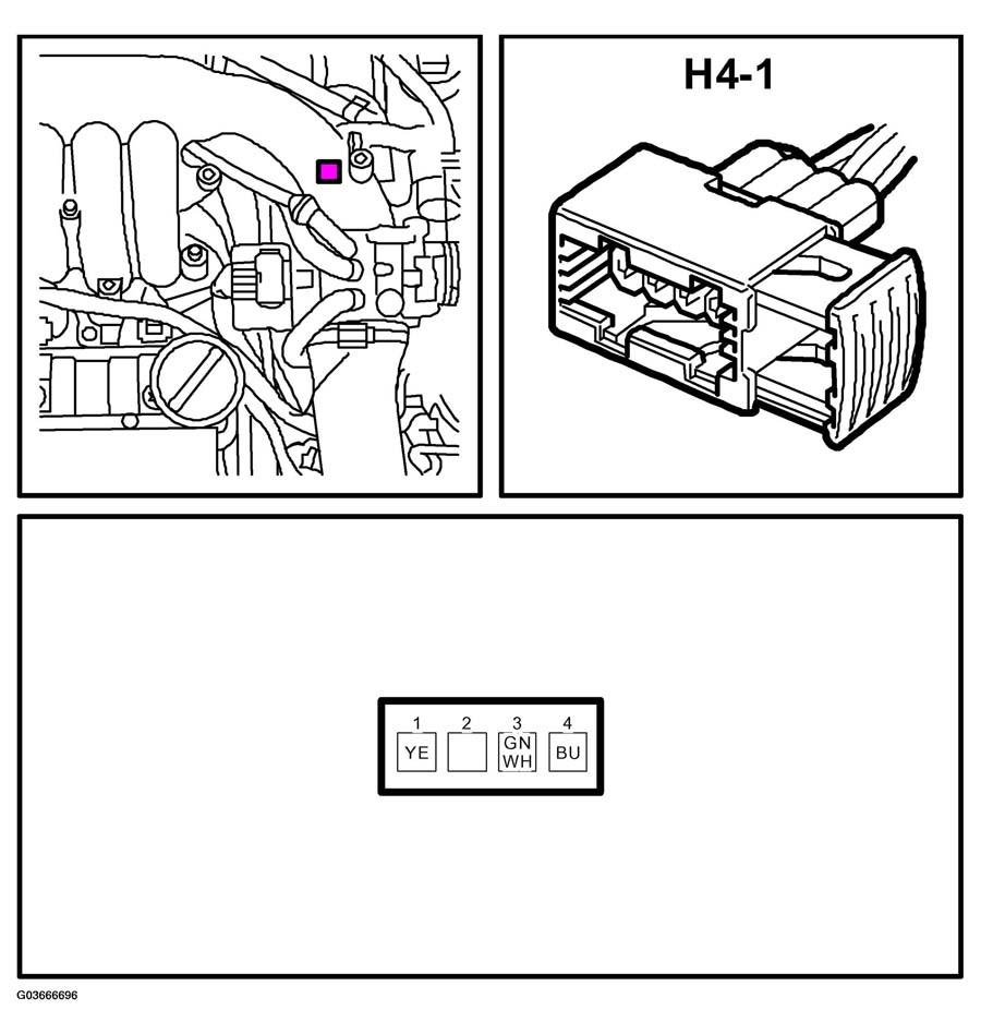 G03666696