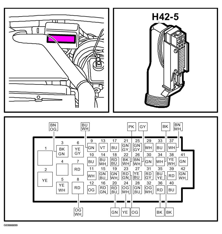 G03666699