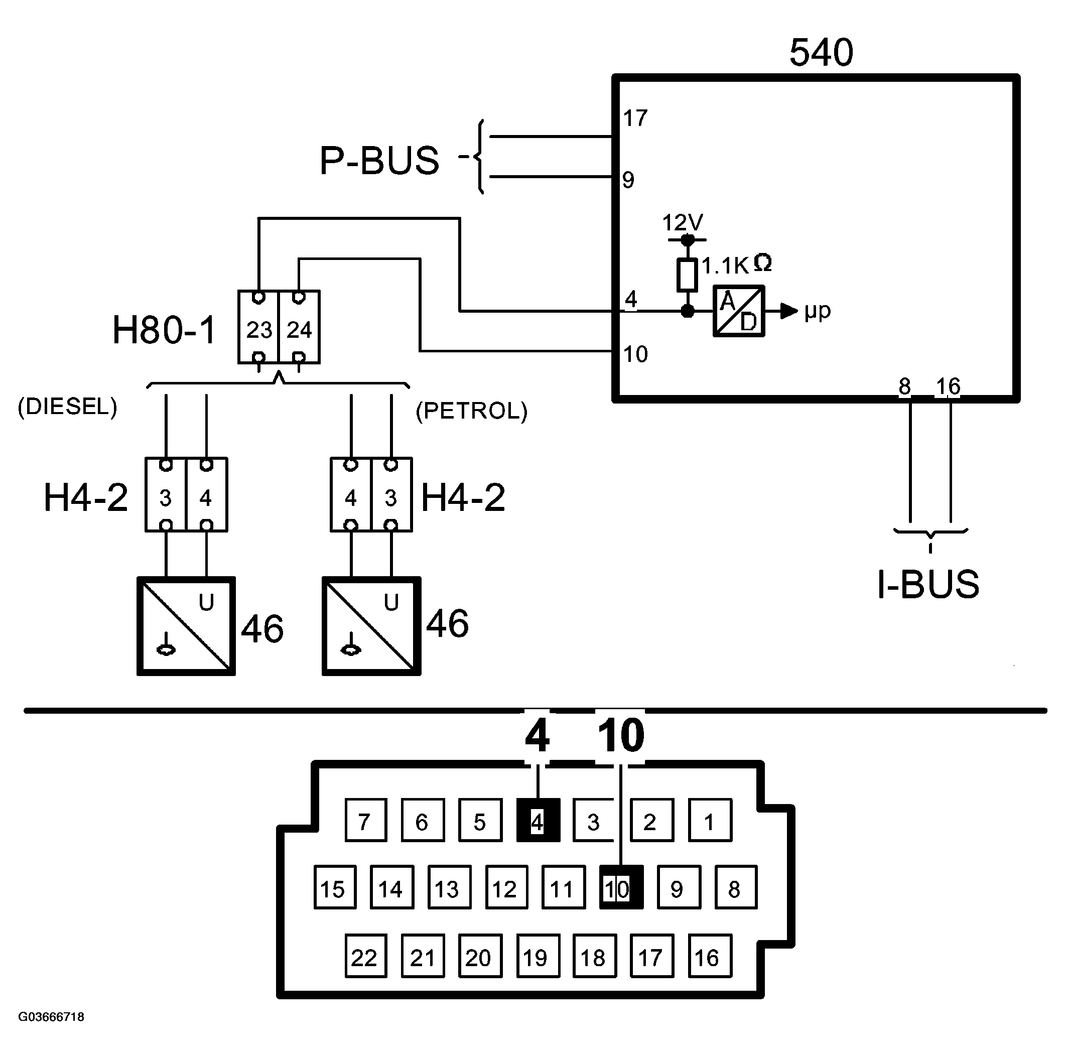 G03666718