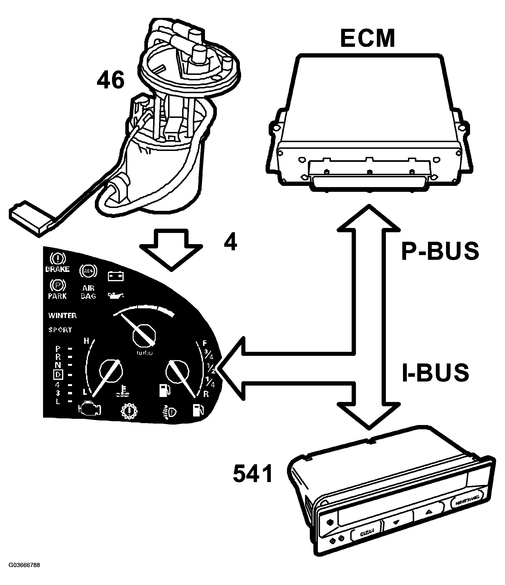 G03666788