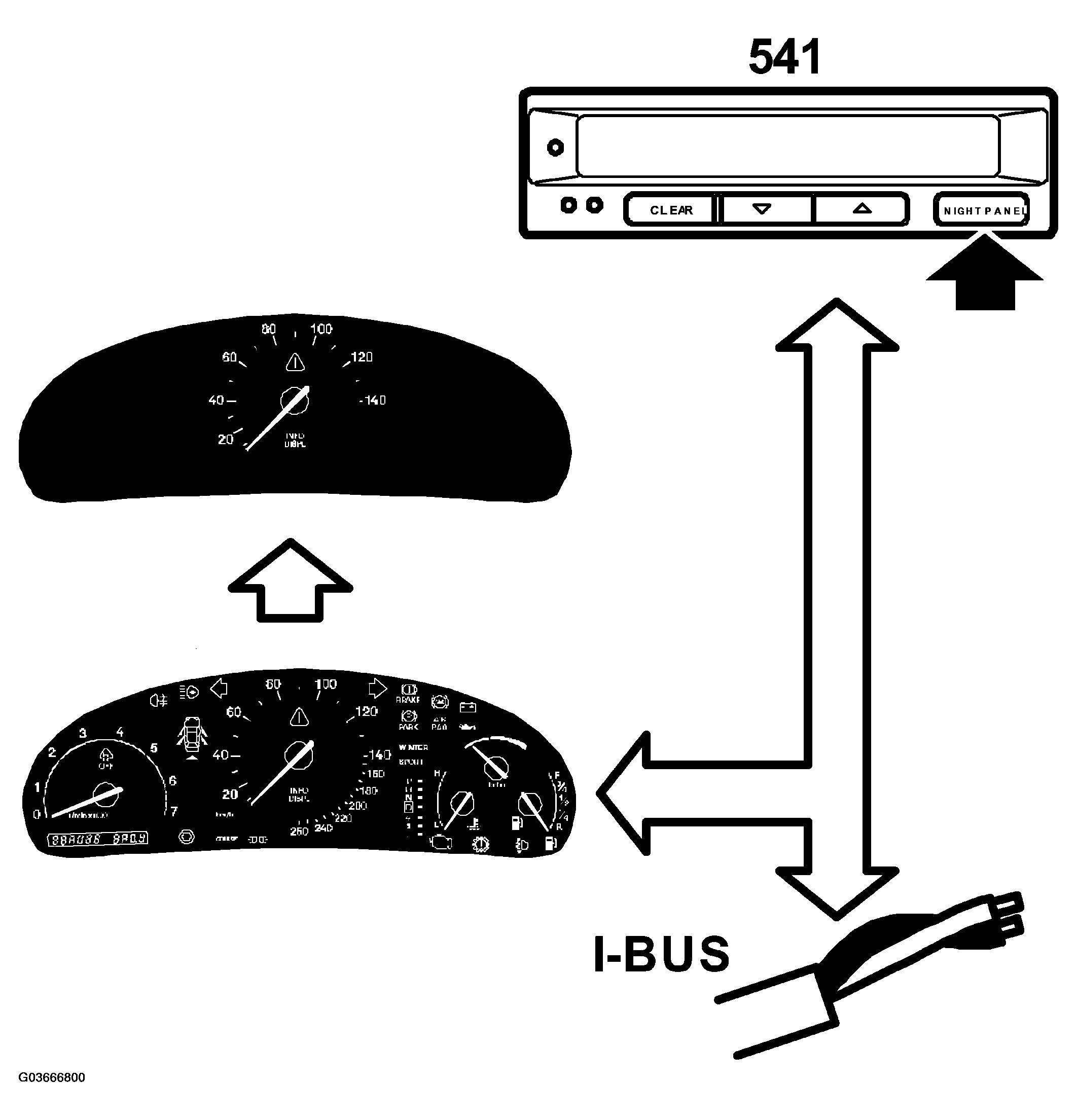 G03666800