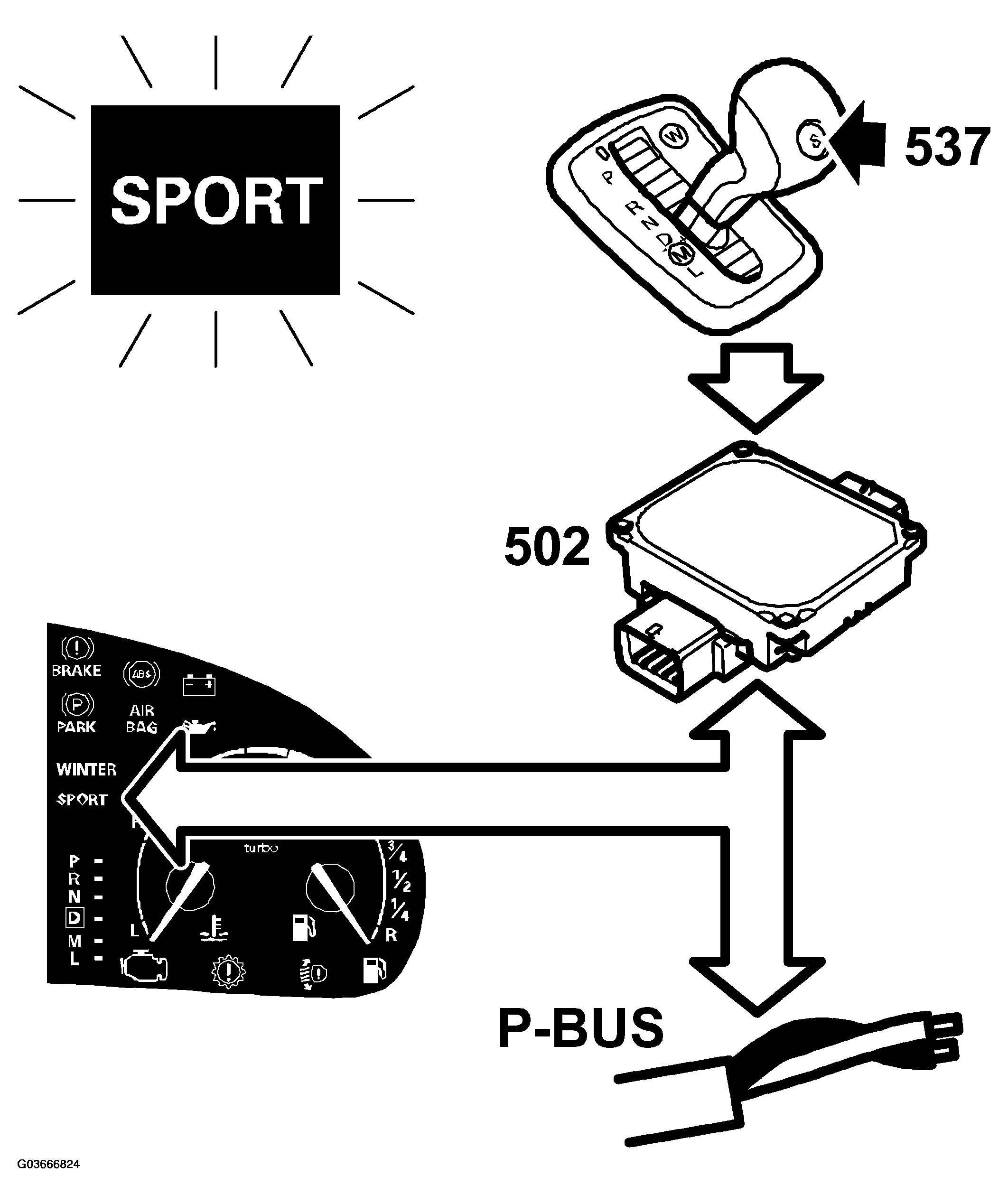 G03666824