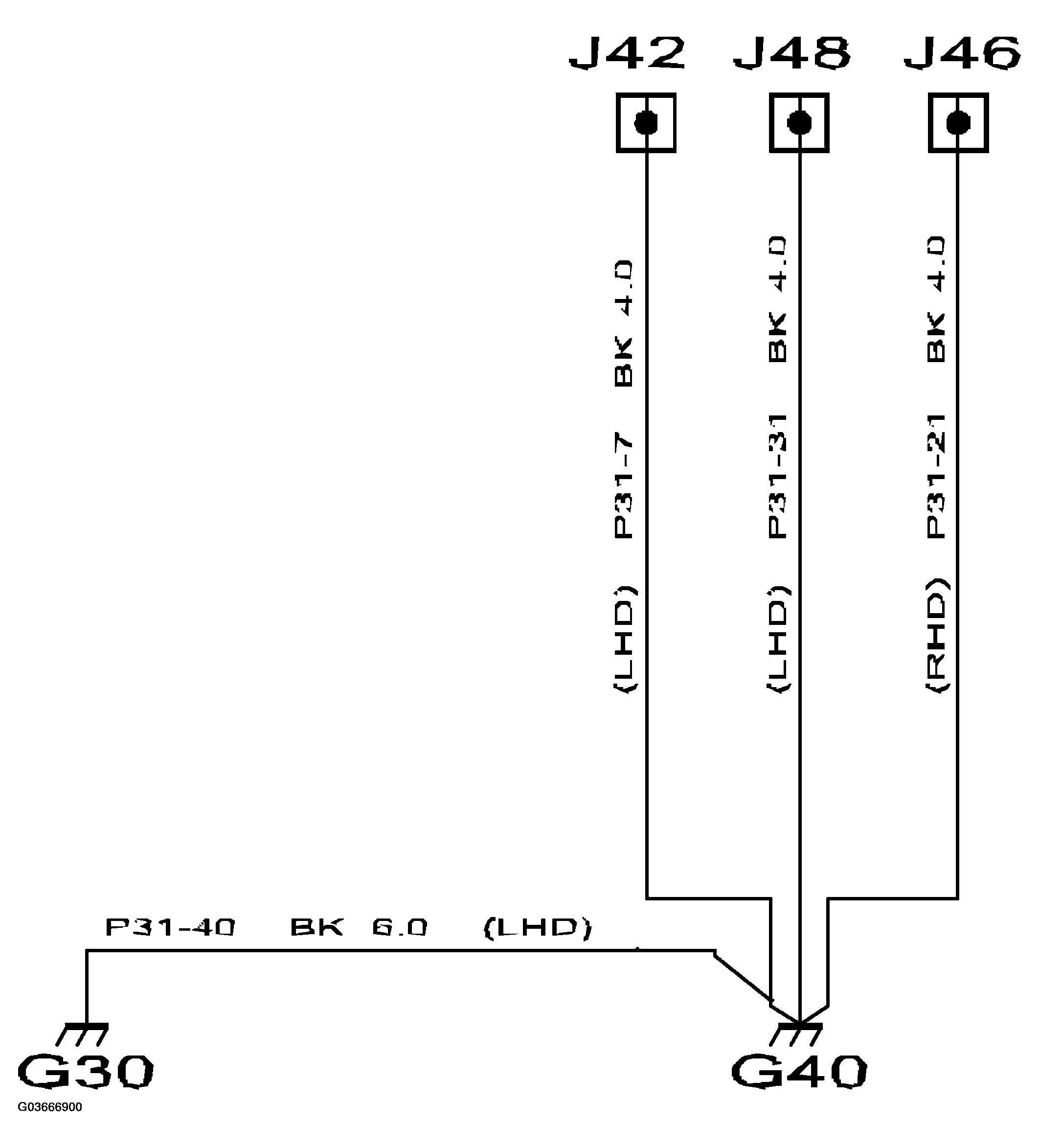 G03666900