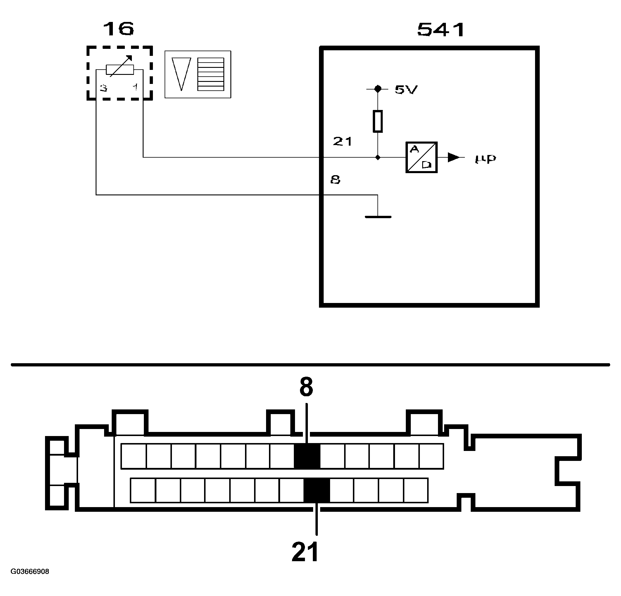 G03666908