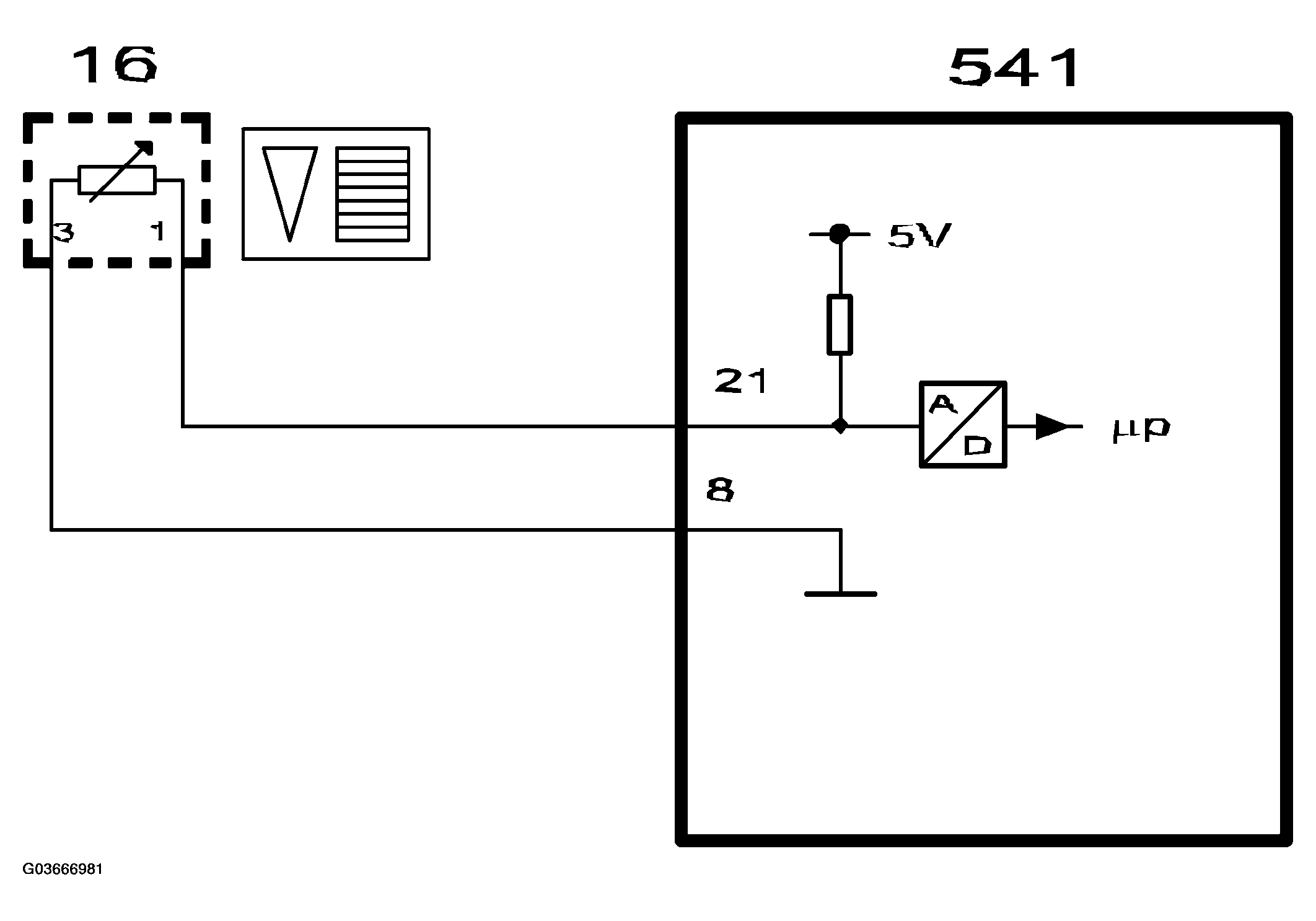 G03666981