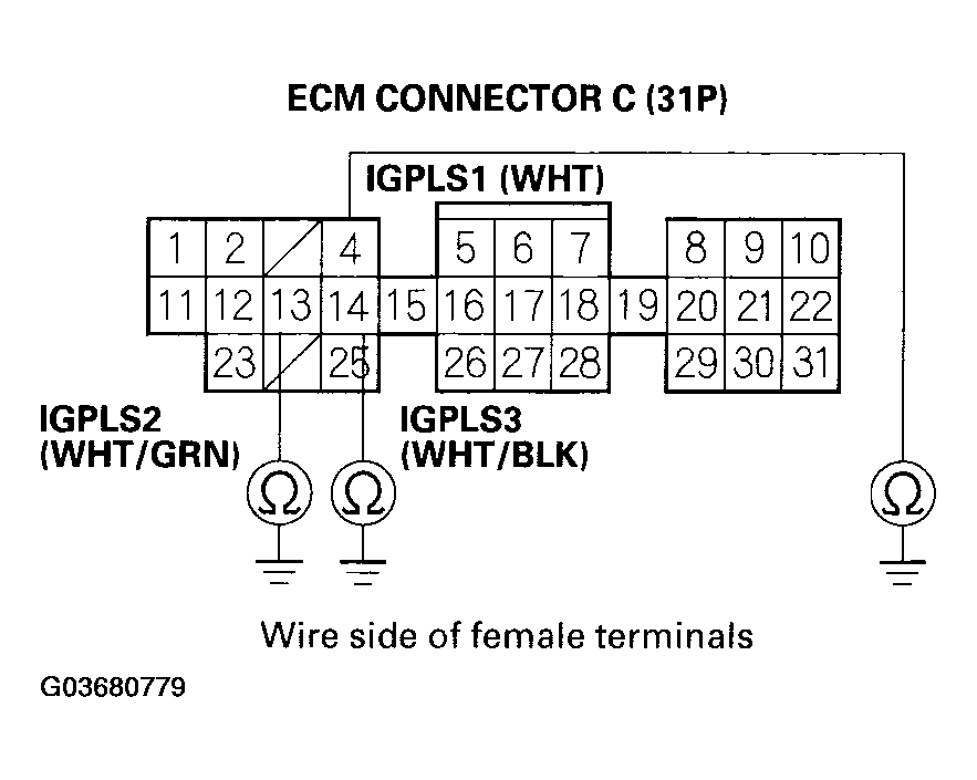 G03680779