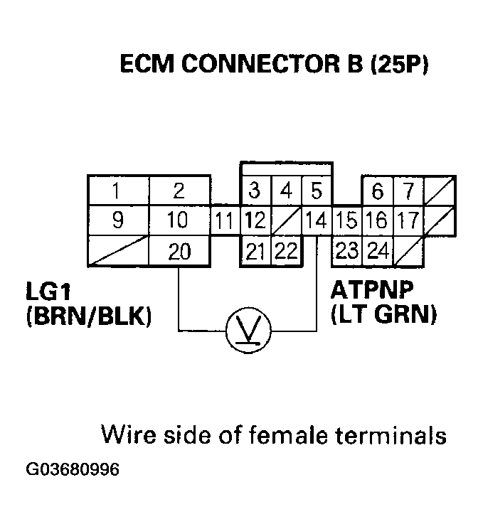 G03680996